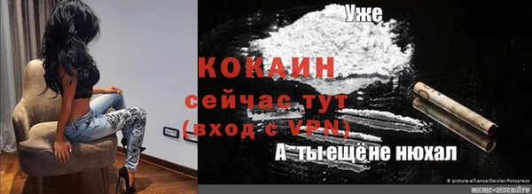 стаф Балахна