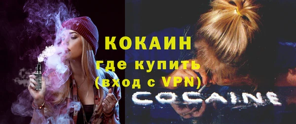 стаф Балахна