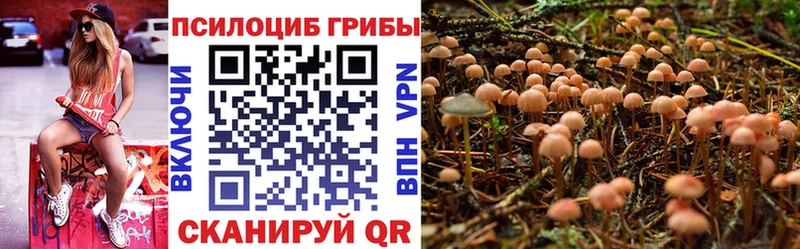 Псилоцибиновые грибы ЛСД Купить где Юрга