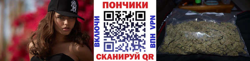 Марихуана план Купить закладки Юрга
